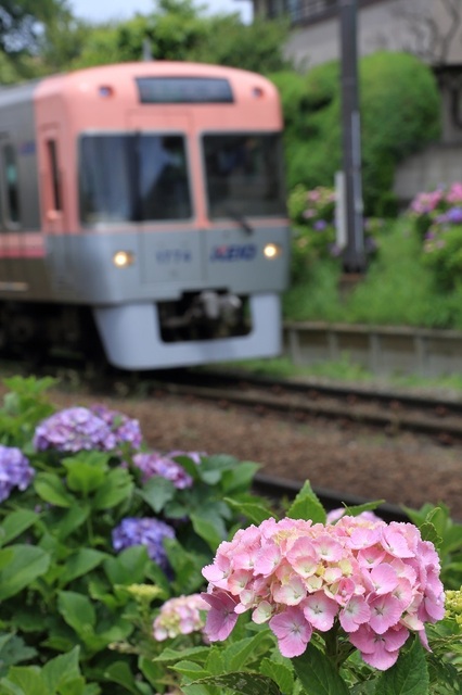 001_DPP_00001356.JPG