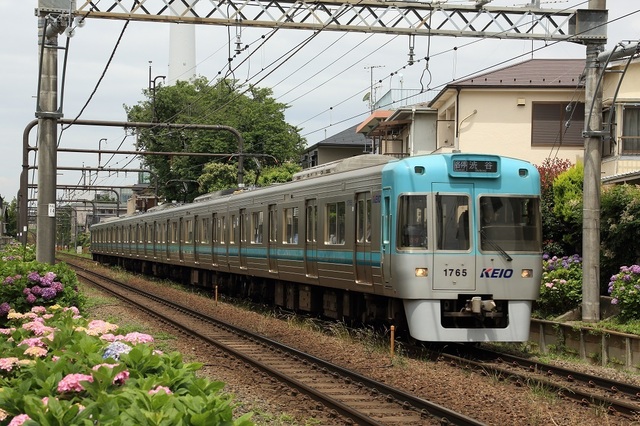 002_DPP_00001338.JPG