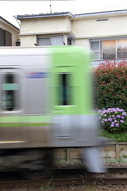 003_DPP_00001339.JPG