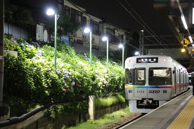0Y6C6943.JPG