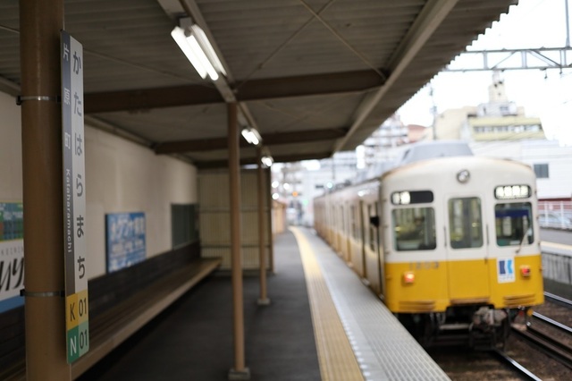 35_DPP_00007005.JPG