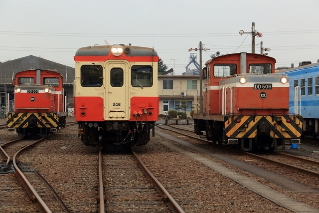 3_DPP_3157.JPG