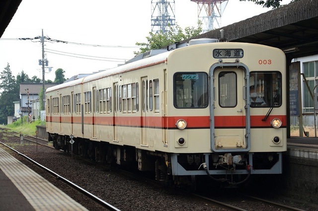 49_DPP_00003825.JPG