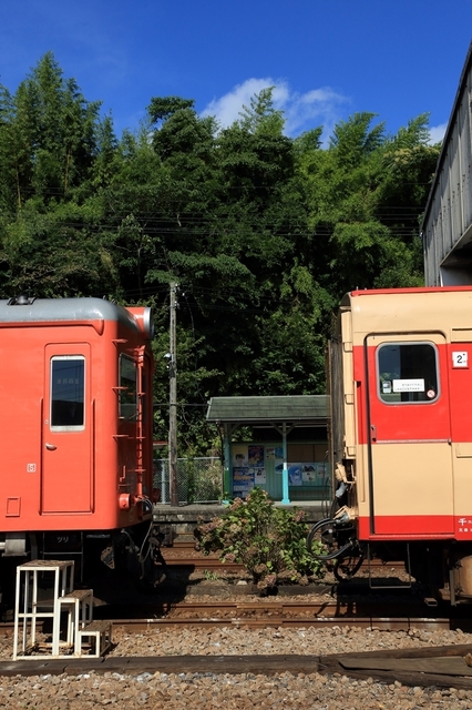 DPP_0344.JPG