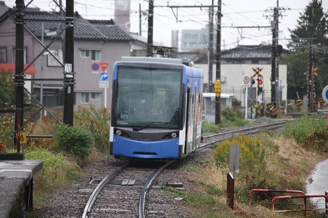 DPP_0815.JPG