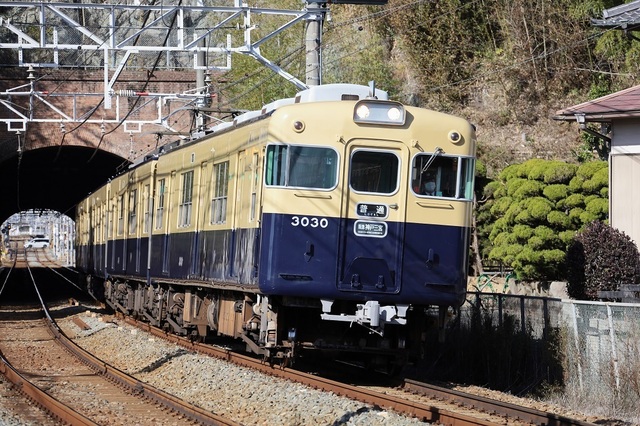 s11_DPP_00006990.JPG