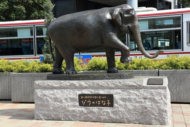s2_DPP_00003629.JPG